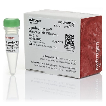 LIPOFECTAMINE MESSENGERMAX 0.1mL，LMRNA001，Invitrogen