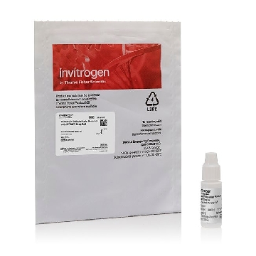 PROLONG GOLD WITH SYTOX DR 2 mL，P36987，Applied Biosystems