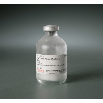 PIERCE RECOMBINANT PROTEIN G, 500 MG，77676，赛默飞世尔