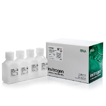 Transfer SKU ULTRAHYB 4 X 125 ML EACH，AM8669，赛默飞世尔