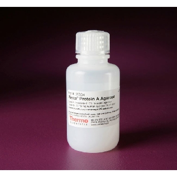 PIERCE PROTEIN A AGAROSE, 25 ML.，20334，赛默飞世尔