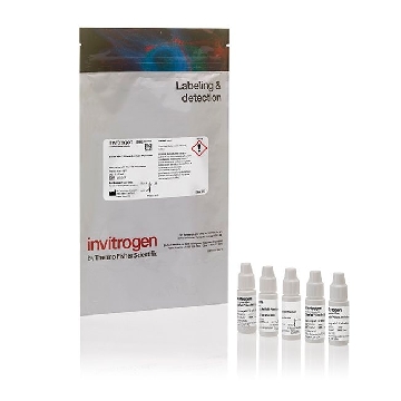 SLOWFADE GLASS 5x2 mL，S36916，Applied Biosystems