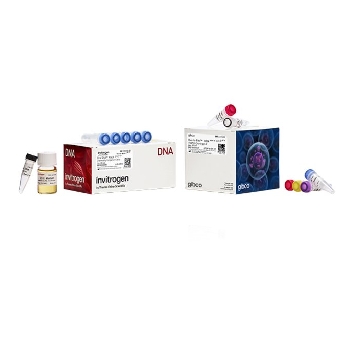 BAC-TO-BAC HBM TOPO CLON KIT COMBO KIT; 20 RXNS，A11338，Invitrogen