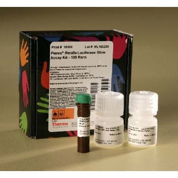 RENILLA LUCIFERASE GLOW ASSAY KIT, 100 REACTIONS，16166，赛默飞世尔