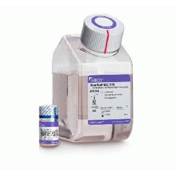 STEMPRO MSC SFM SUPP CTS 75ML，A1033301，Invitrogen