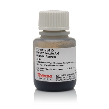 PROTEIN A/G MAGNETIC AGAROSE 20ML，78610，赛默飞世尔