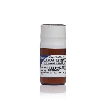 GENETICIN 1G，11811023，Invitrogen