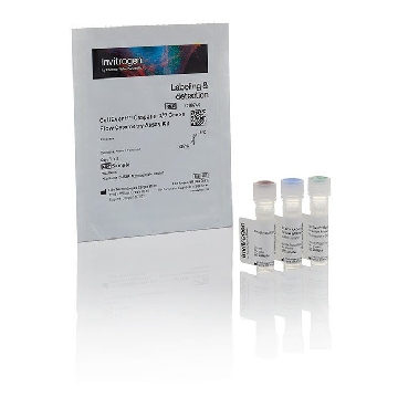 CELLEVENT CASPASE-3/7GRN 20ASY 1 KIT，C10740，Invitrogen