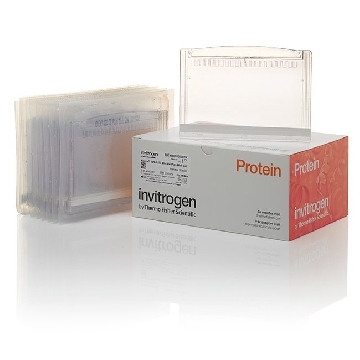 NP MIDI 3-8%TA GEL, 20W BOX OF 10 GELS + MANUAL，WG1602BOX，Invitrogen