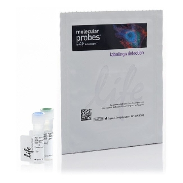 Probes HCS CELLMASK NIR STAIN 1 SET，H32722，赛默飞世尔