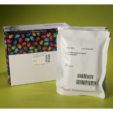 PIERCE MALEIMIDE ACTIVATED PLATES, 5 PLATES，15150，赛默飞世尔