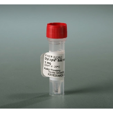 DYLIGHT 550 NHS ESTER, 1 MG.，62262，赛默飞世尔