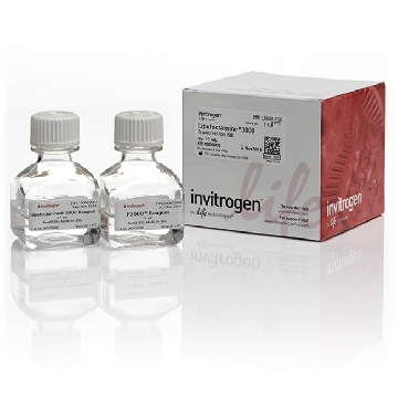 LIPOFECTAMINE 3000, 15ML 15mL，L3000150，Invitrogen