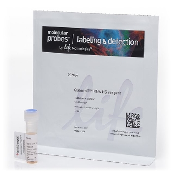 QUANT-IT RNA HS REAGENT 1 ML，Q32884，Invitrogen