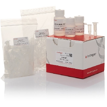 PURELINK PCR MICRO KIT - 10 10 PREP，K310010，Invitrogen