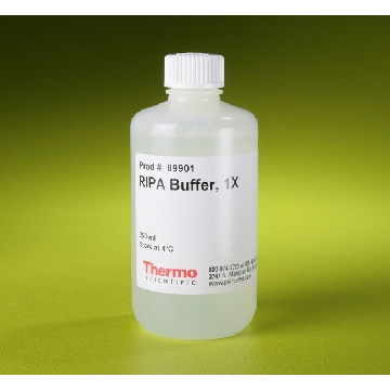 RIPA BUFFER, 250 ML. EA，89901，赛默飞世尔