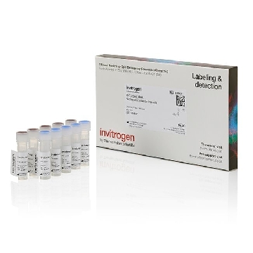 SYTO DEEP RED NUC ACID STAIN-5 SET OF 5，S34901，Applied Biosystems