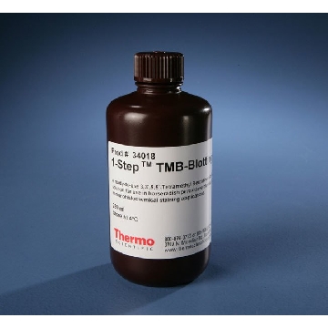 1-STEP TMB-BLOTTING, 250 ML FORM，34018，赛默飞世尔
