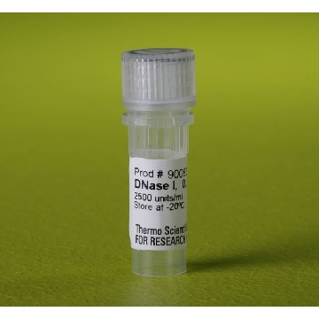 DNASE (1250 U), 0.5 ML EA，90083，赛默飞世尔