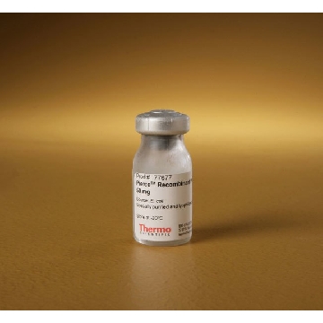 PIERCE RECOMBINANT PROTEIN AG, 50 MG，77677，赛默飞世尔