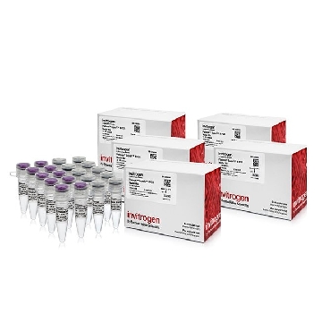PLATINUM SUPERFI II MASTER MIX 2500 RXN，12368250，Applied Biosystems