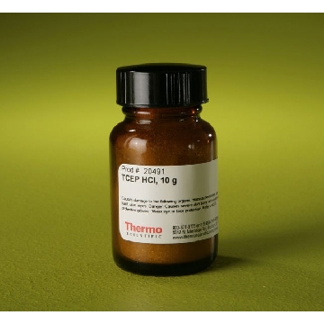 TCEP HCL, 10 G. TRIS{2-CARBOXYETHYL}PHOSPHINE，20491，赛默飞世尔