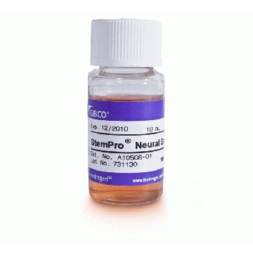 STEMPRO NEURAL SUPPLEMENT 10 ML，A1050801，Invitrogen