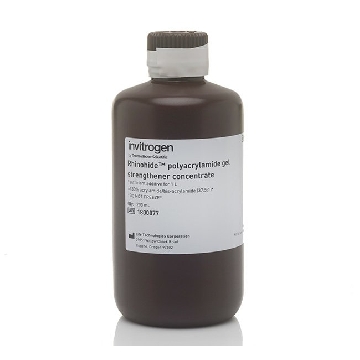 RHINOHIDE POLYACRYLAM 200 ML，R33400，Invitrogen