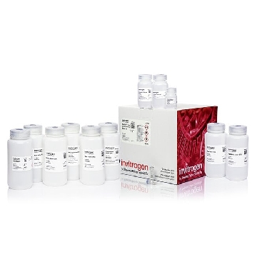 Transfer SKU PURELINK EXPI ENDO BUFFER KIT EA，A33074，赛默飞世尔