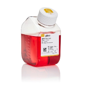 DMEM NUTRIENT MIX F12 500ML，11320033，Invitrogen