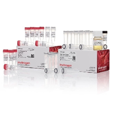 TA CLONING DUAL/INV 20 RXN，K205001，Invitrogen