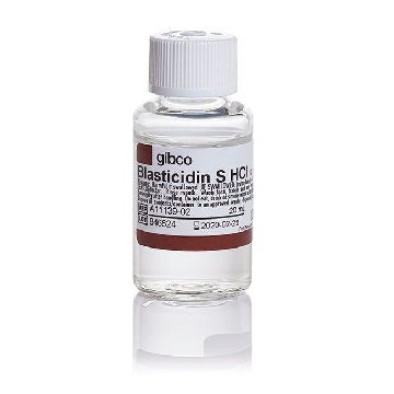 BLASTICIDIN S HCL 20ML PETG，A1113902，Invitrogen