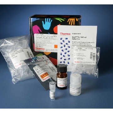 EZ-LINK MALEIMIDE-PEO SOLID PHASE BIOTINYLATION KIT:，21930，赛默飞世尔
