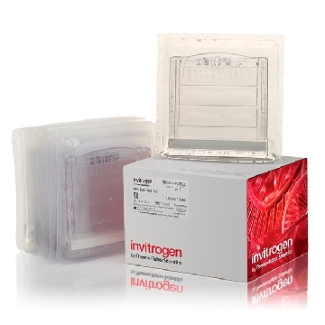 10% TBE-UREA GEL 1.0MM 12W 10 PER BOX，EC68752BOX，Invitrogen