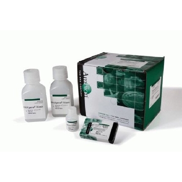 STAB BLD-TO-CT NA PREP PAXGENE 200 RXN，4449082，Applied Biosystems