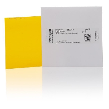 SYBR(R) PHOTOGRAPHIC FILT EACH，S7569，Invitrogen