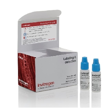 Probes PACIFIC BLUE ANNEXIN RDY FLOW 2 X 2.5 ML，R37177，赛默飞世尔