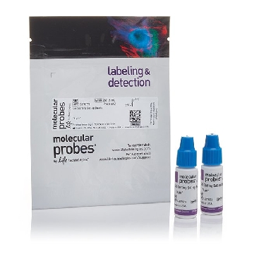 CELL SORTING FOR BLUE LASERS 2x1.5 ML，C16508，Invitrogen