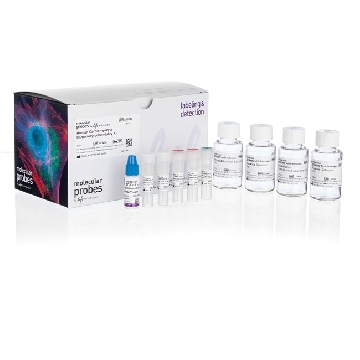 HUMAN CARDIOMYOCYTE ICC KIT KIT，A25973，Invitrogen