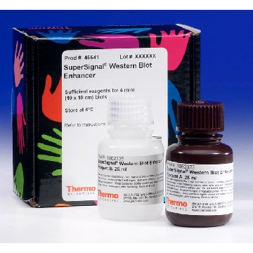 SUPERSIGNAL WESTERN BLOT ENHANCER，46641，赛默飞世尔