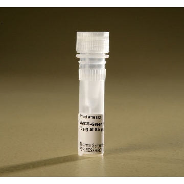 PMCS-GREEN RENILLA LUC, 0.5 UG/UL (10 UG)，16152，赛默飞世尔