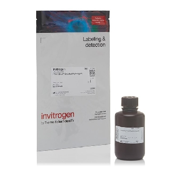PRESTOBLUE CELL VIABILITY RGNT 100 ML，A13262，Invitrogen
