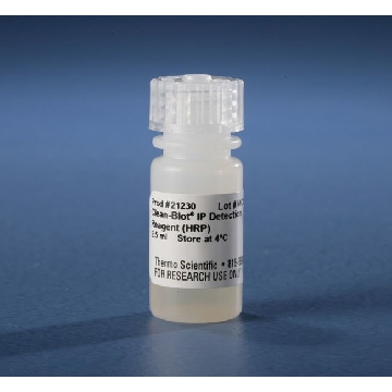 CLEAN-BLOT IP DETECTION REAGENT (HRP)，21230，Applied Biosystems