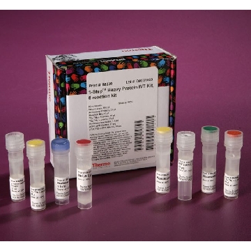 1-STEP HEAVY PROTEIN IVT 8 REACTION KIT，88330，赛默飞世尔