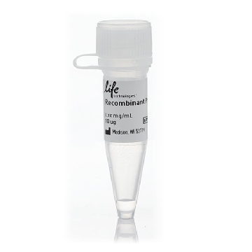 PLK4 10 ug，PV6394，Invitrogen