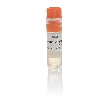 VIRAL PRODUCTION CELLS 6 X 1ML，A35827，Invitrogen