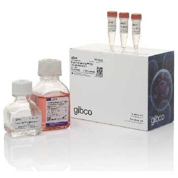 EXPIFECTAMINE TRANSFXN KIT 1L 1L Kit，A14524，Invitrogen