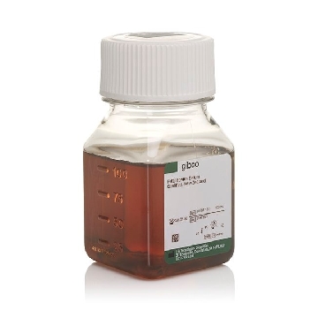 FETAL BOVINE SERUM NZ ORIGIN 100ML，10091130，Invitrogen