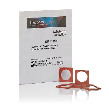 CYTOVISTA  CHAMBER-0.75MM Pack of 6，V11333，Applied Biosystems