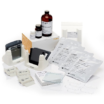 SURECAST GEL HANDCAST BUNDLE A KIT，HC1000SR，Invitrogen